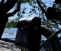 Black bags matches green bike saddle/handles